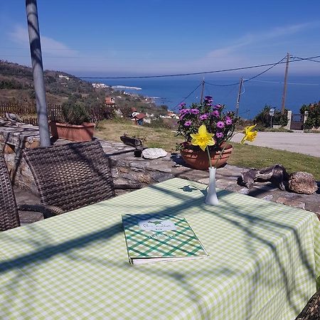 Paradies Ano Polidhendrion Bagian luar foto