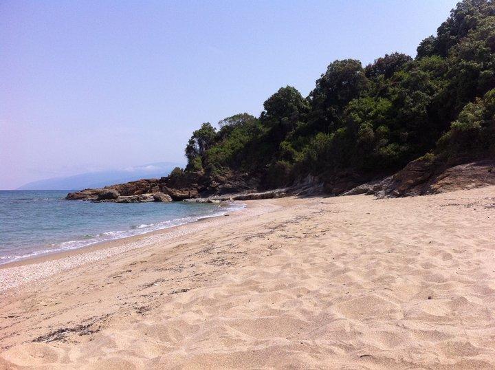Paradies Ano Polidhendrion Bagian luar foto