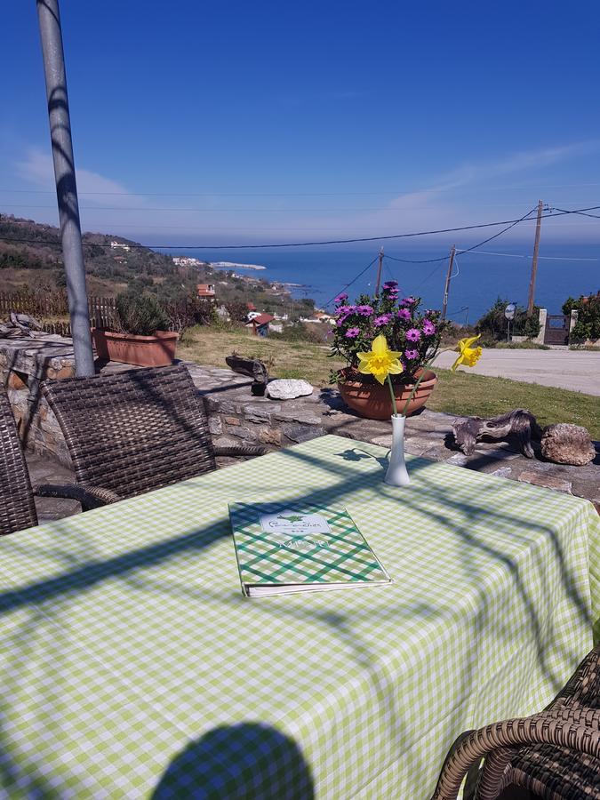 Paradies Ano Polidhendrion Bagian luar foto